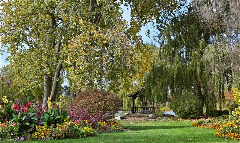 A View of Brander Park filled with green greenery