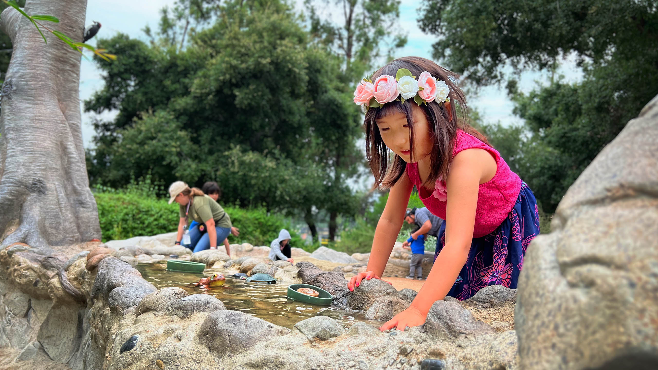 El Monte Family Attractions