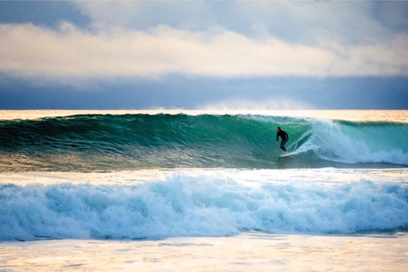 Venice Beach Surfing